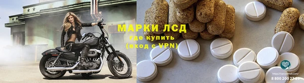 крисы Баксан