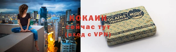 крисы Баксан