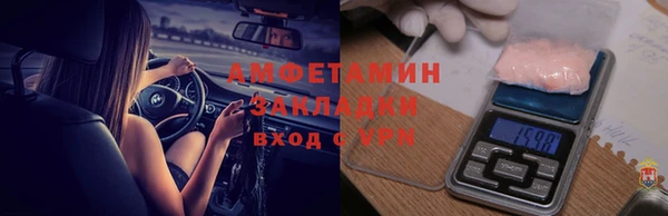крисы Баксан