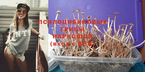 мескалин Балахна
