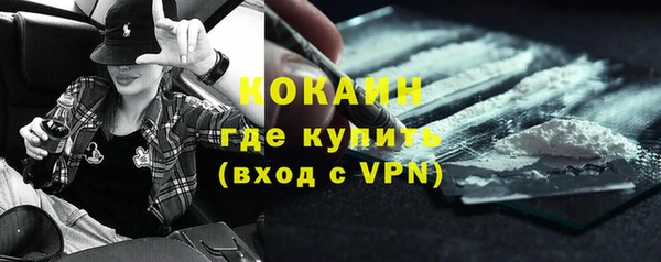 крисы Баксан